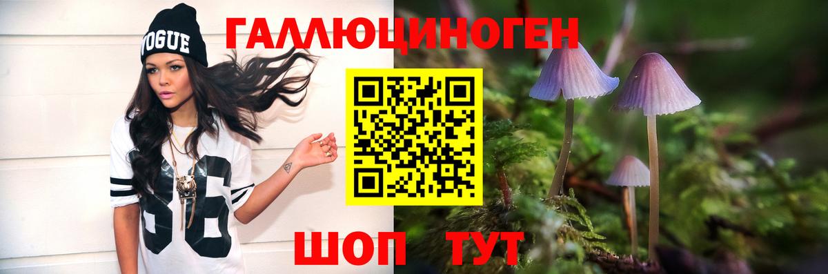 Галлюциногенные грибы GOLDEN TEACHER  Вход с VPN  Псилоцибиновые грибы Cubensis  Великие Луки 